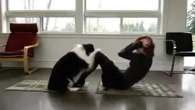 Dog Is Doing Yoga With His Owner |The Yoga Dog