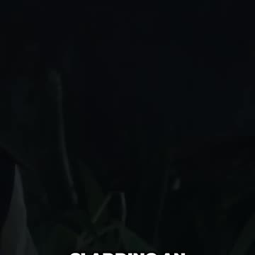 Unconventional DIY Tips: Creating an Escape Route from Toads in Your Home