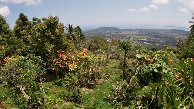 View on samui