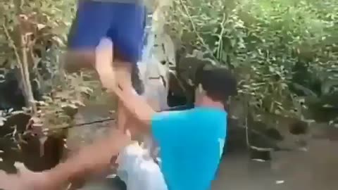 This is a beautiful and charming water-dwelling species