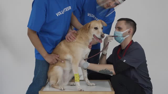 A Group of Volunteers and a Dog