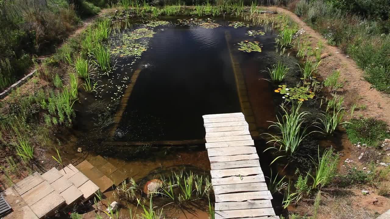 DIY SWIMMING ROCK POOL