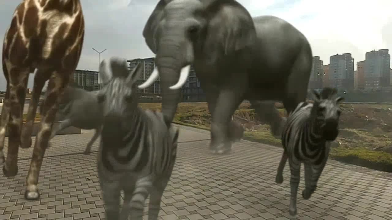 Zoo Escape