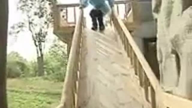 Cute pandas playing on the slide