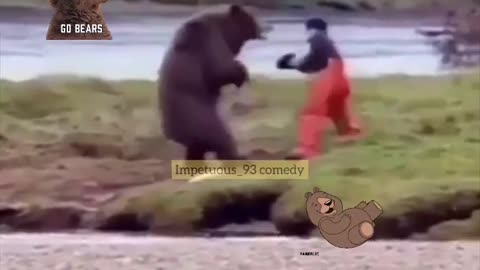 Bear Fight