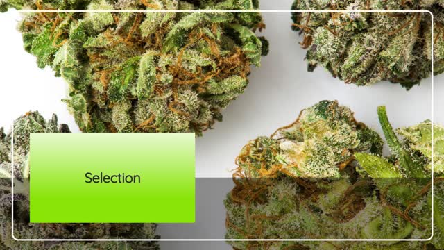 Weed Delivery in Halifax