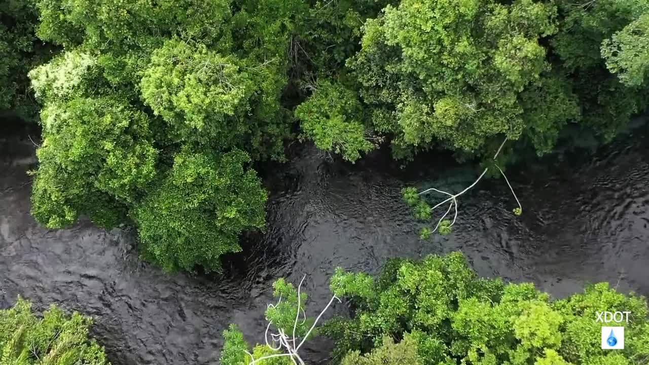 The amazing beauty of nature || People connected with the Nature || Pure supplement