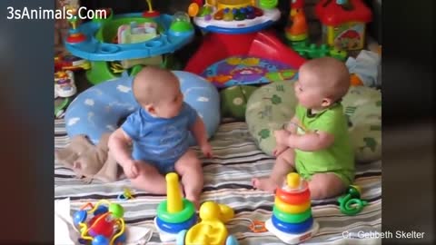 Baby funny videos 😂