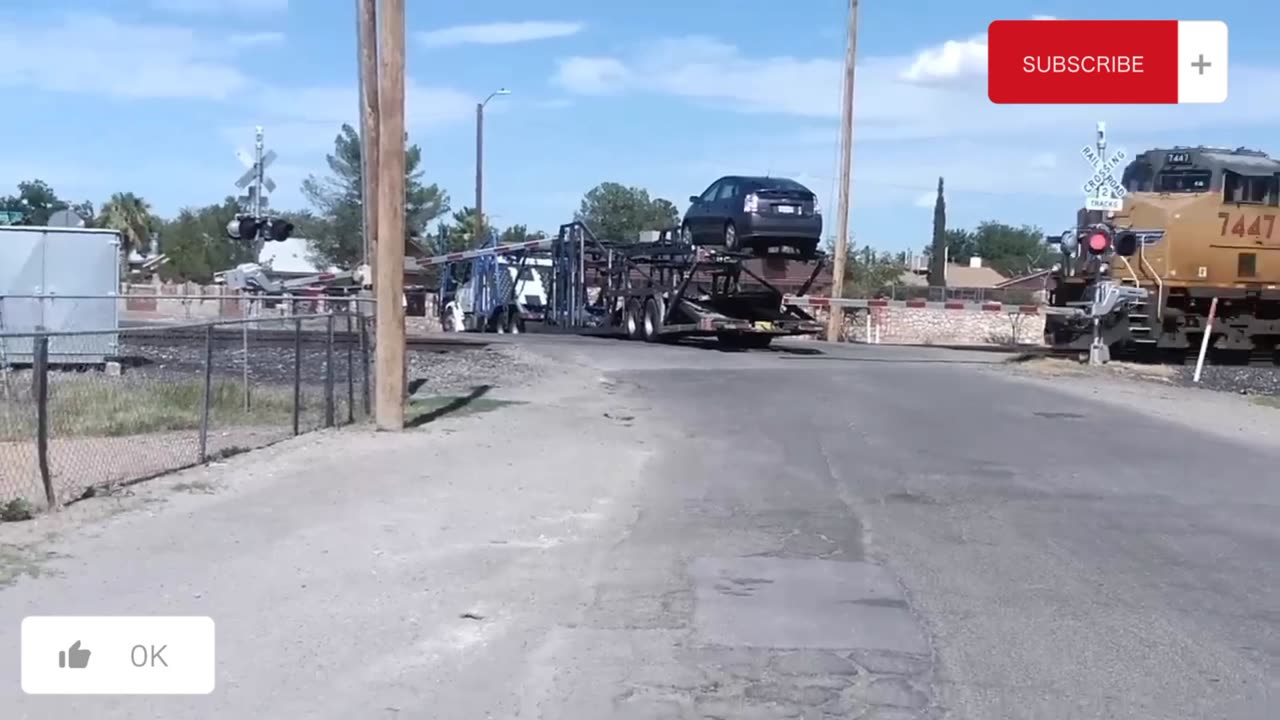 Crazy car's
