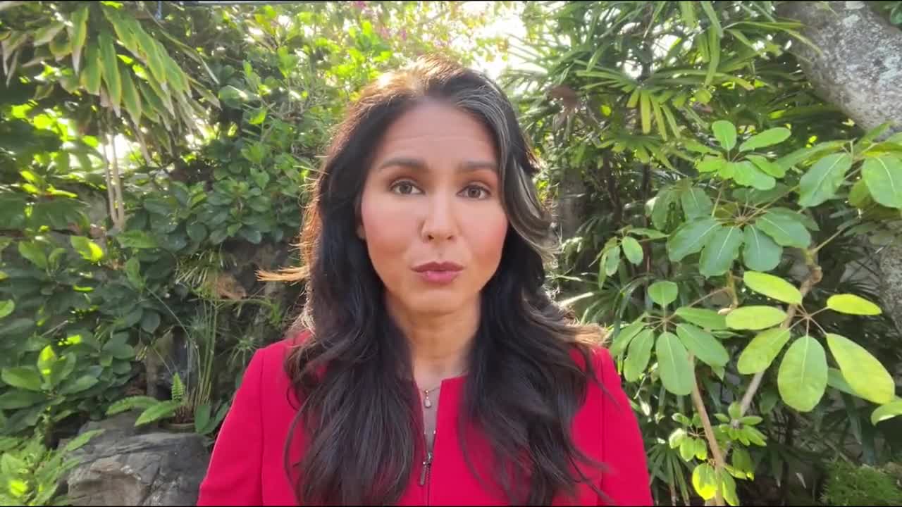 Tulsi Gabbard Calls for RINO Senator's Immediate Resignation