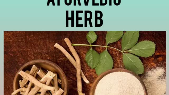 Ancient medicine | ashwagandha