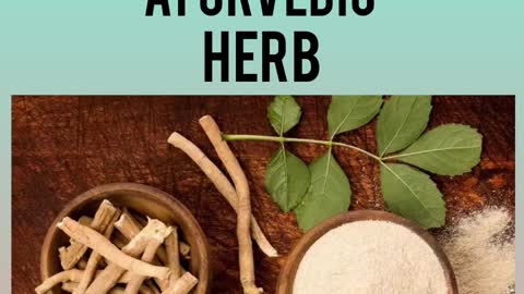 Ancient medicine | ashwagandha