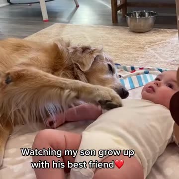 Watching my son growup with his best Friend.............!! #viralvideo, Dogs.