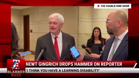 Newt Gingrich Drops Hammer On Reporter