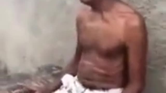 Funny video compilation