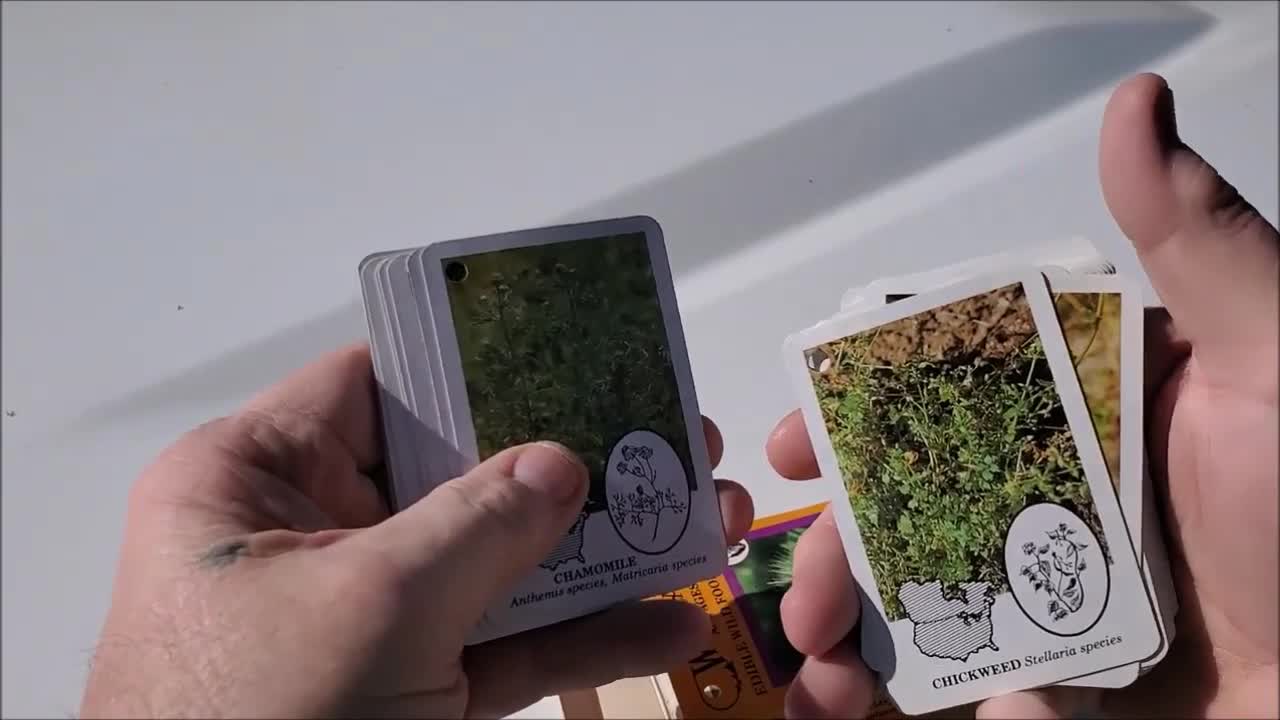 Edible Wild Foods Playing Cards