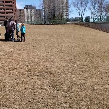Freedom Rally At Edmonton Legislature