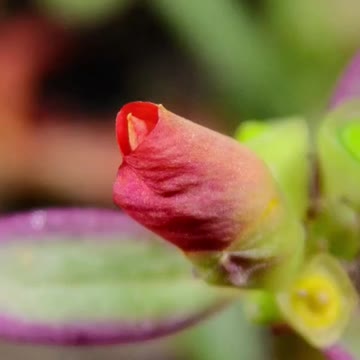 It's so beautiful to see what's blooming