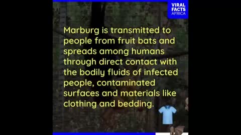 Now its the MARBURG VIRUS - the BULLSHIT continues