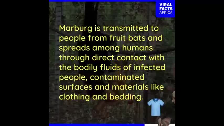 Now its the MARBURG VIRUS - the BULLSHIT continues