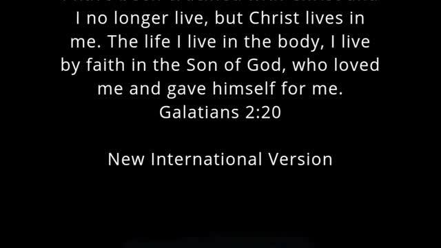 ✝️ Today's Bible Verse Galatians 2:20