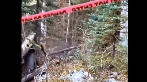 Hiding in plain sight