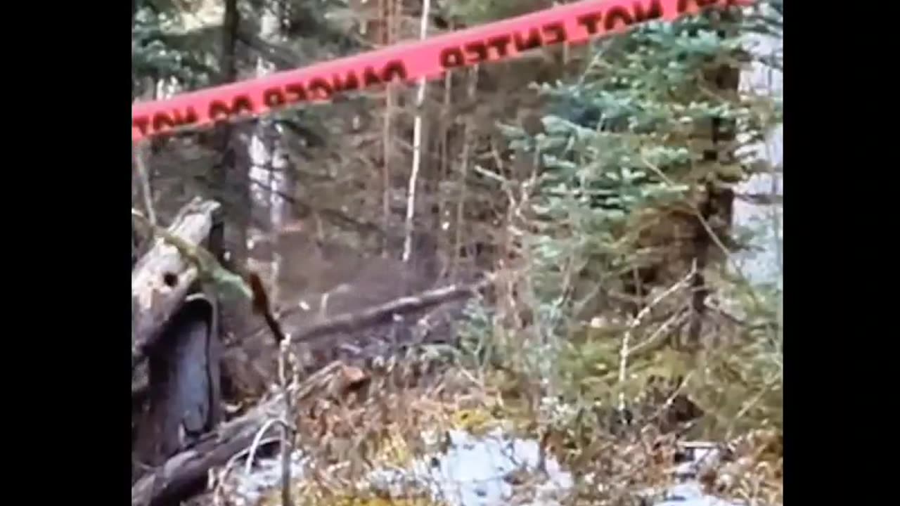 Hiding in plain sight