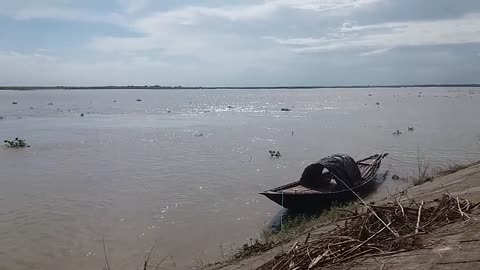 Padma river