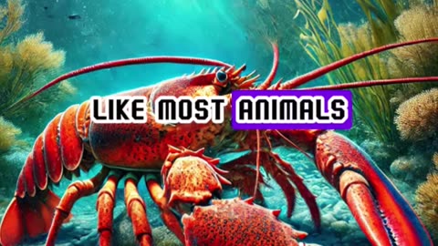 Mind-Blowing Animal Facts You Won’t Believe! 🤯🐾