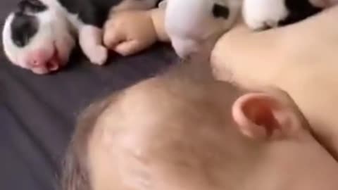 Baby sleeping soundly with cute dog babies