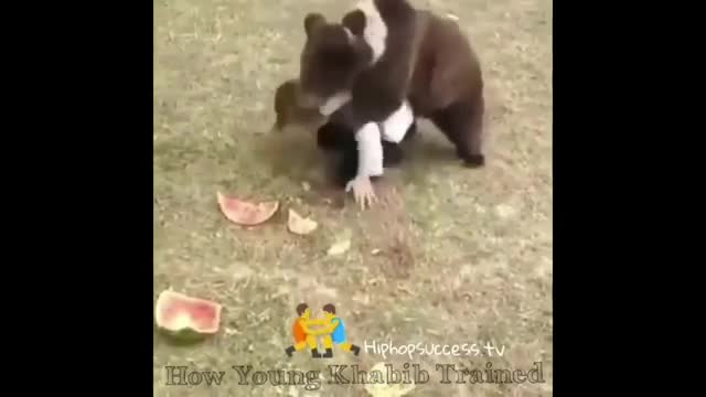 Funny animals