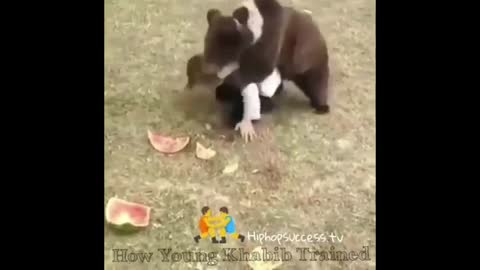 Funny animals