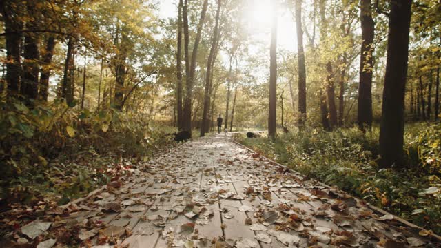 A Man and a White Dog Walking in a Paved Pathway