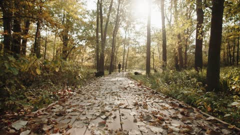 A Man and a White Dog Walking in a Paved Pathway