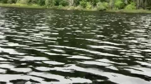 Patriot Fishing part 4-5