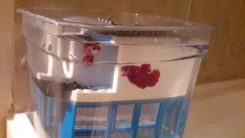 20170419_095650