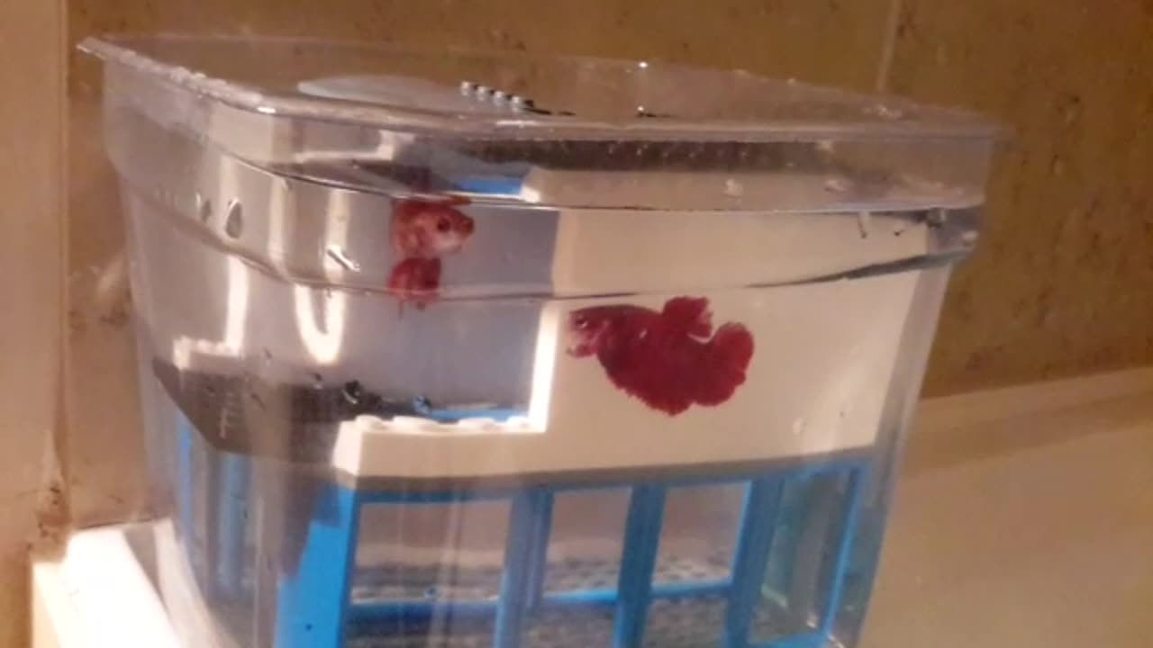 20170419_095650
