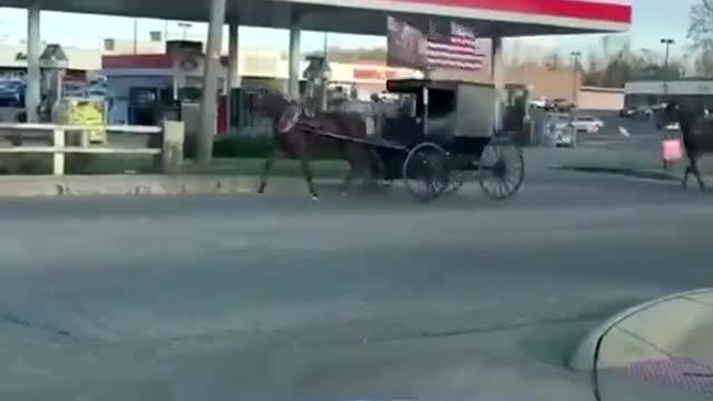 Look MAGA Amish 'extremists!'😁