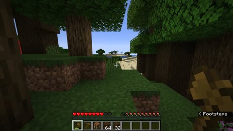 Minecraft survival