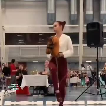 Advanced dressage and jumping competition 🤣