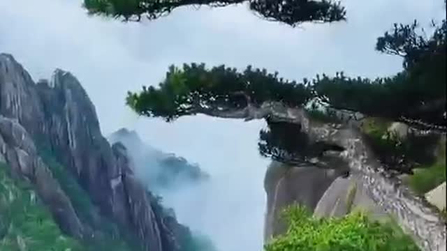 Mountain in the cloud