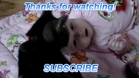 Cute Cat Love Baby