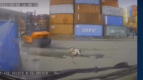 Viewers discretion advice graphic image. Man gets ran over by a forklift