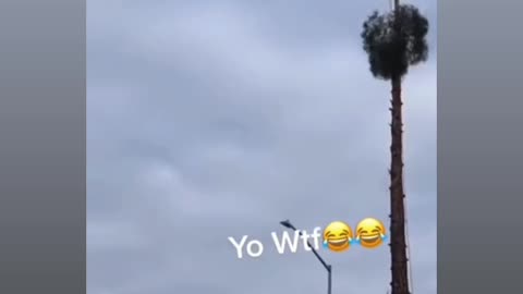 Hey I believe I can fly funny video