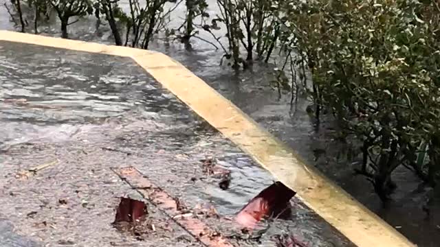 Downtown Jacksonville Floods in Hurricane Irma