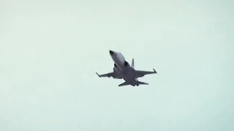 Houthis Flying American Made F5s. In 2023 ....