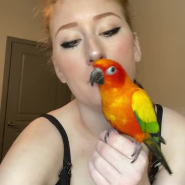 My pet's reaction to hearing me say, "I love you."