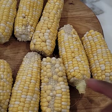 Corn Harvest