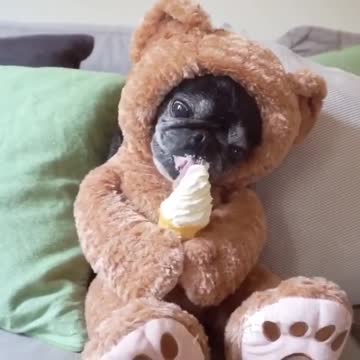 When you are told your diet starts from tomorrow