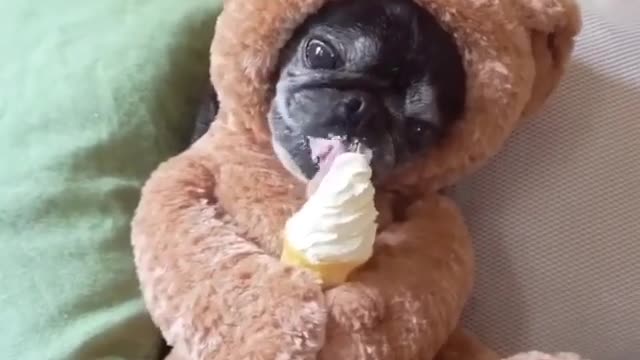 When you are told your diet starts from tomorrow